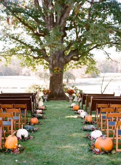 Sceneria jesiennego ślubu w plenerze, przystrojone rozłożyste drzewo, ławki, a przy nich porozkładane pomarańczowe dynie